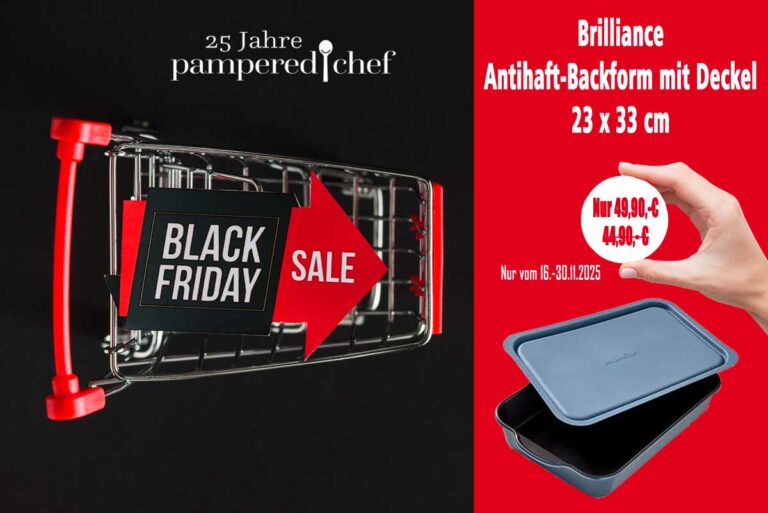 Pampered Chef Brilliance Antihaft Backform mit Deckel 23 x 33 cm